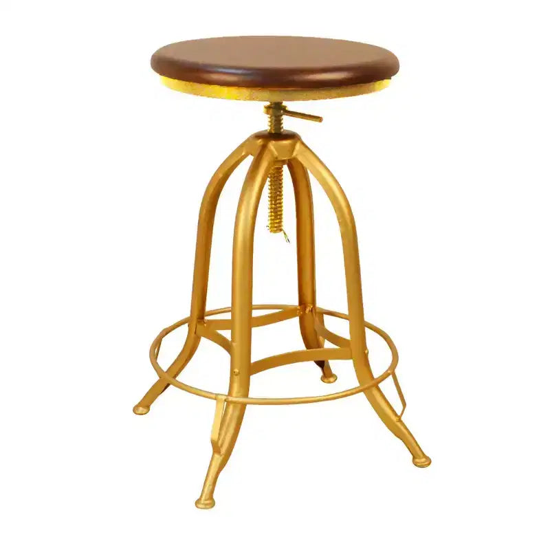 Carolina Living Wren Adjustable Stool